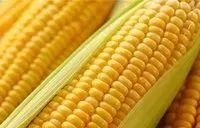 眉间纹抬头纹祛皱效果好吗,祛皱淡纹美容院