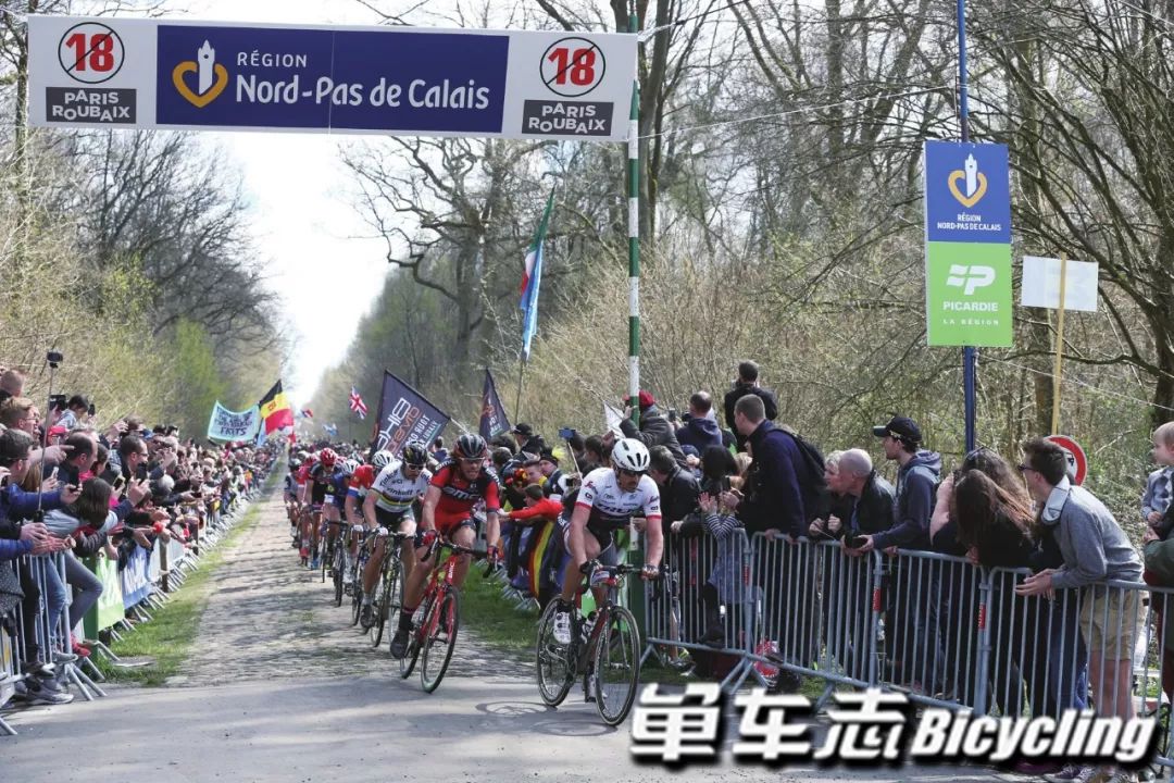 看懂拉力赛视频,看懂公路赛