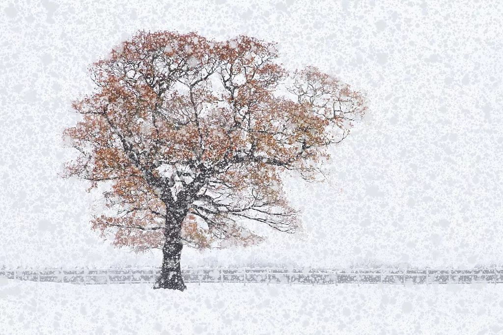 趁年轻多努力读书笔记,趁着年轻多读点书