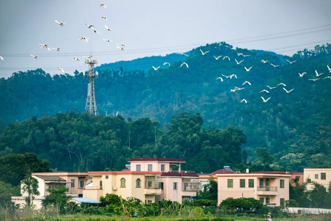 99%的斗门人都没看过的斗门，赶紧看！