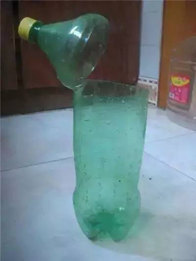 水插栀子花技术,水插栀子怎么移栽