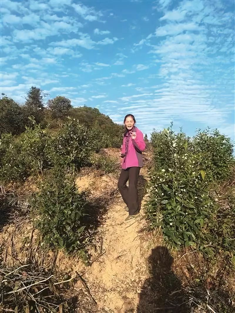 放下百万年薪回小县城,放下工作回到农村老家