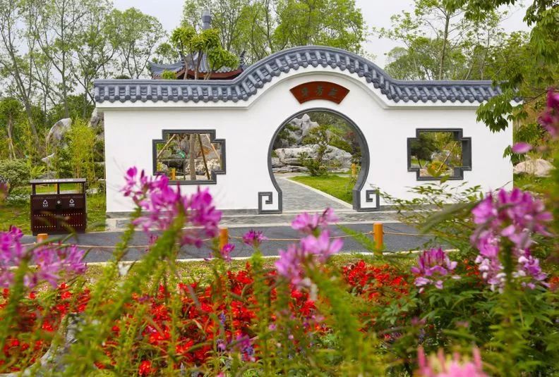 晒出年度成绩单,2019年全省30件民生实事完成情况