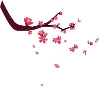 【扫黑除恶】牡丹江市人民检察院扫黑除恶督导组深入基层院督导推进全市黑恶案件进展（第819期）