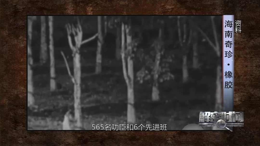 橡胶和石油的故事后续,海南橡胶和海南农垦的关系