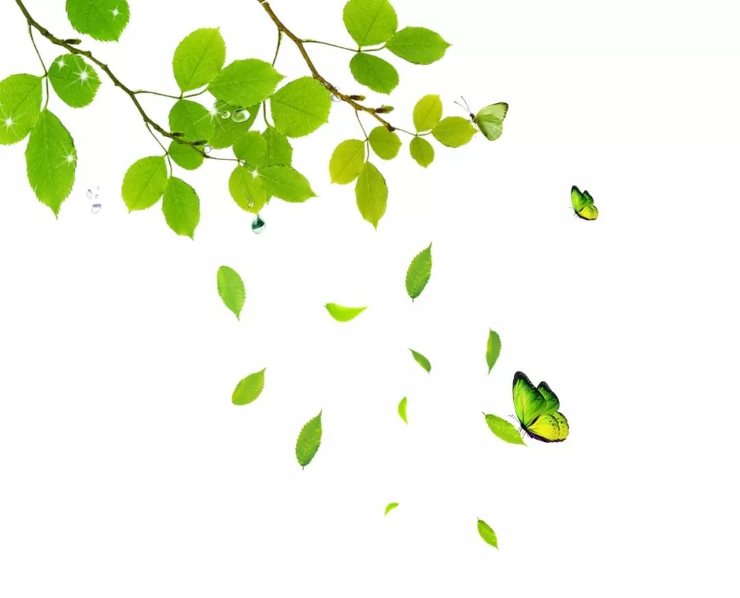 最美的西安公园风景图,西安桃花潭公园手绘导览图