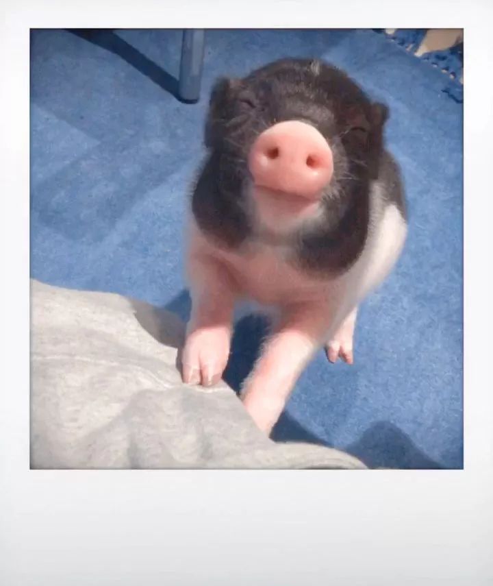 揭穿身边的骗局文章,揭穿新骗局视频