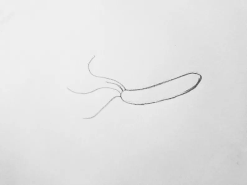 吹口气就能检测,福州疾控带你了解这个细菌