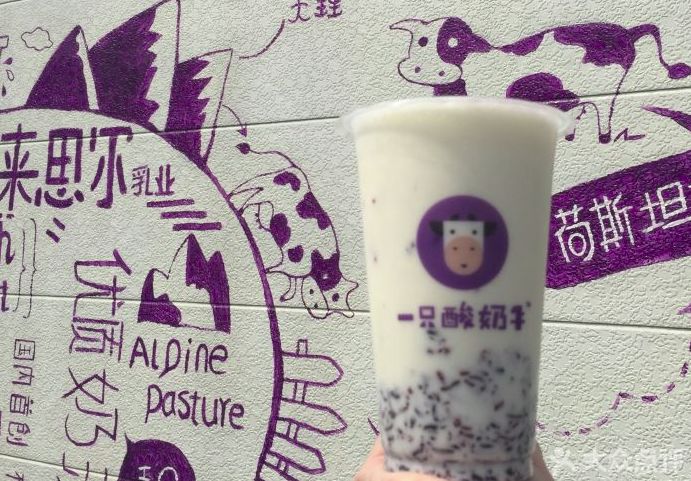 冷得不敢喝坝坝茶，只想捧一杯热奶茶在手心里！