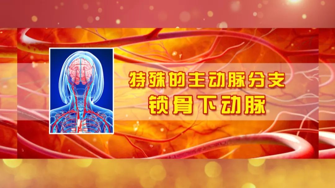 养生堂直播间预防脑梗,养生堂脑梗完整视频