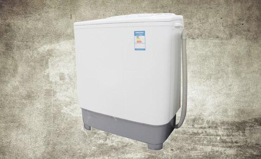 年前最后一笔大钱就花在它们身上了