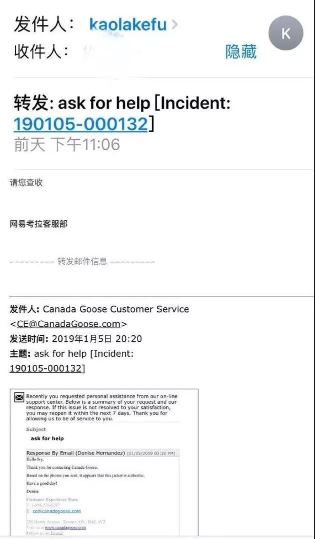 考拉加拿大鹅最新结果,考拉加拿大鹅真假对比