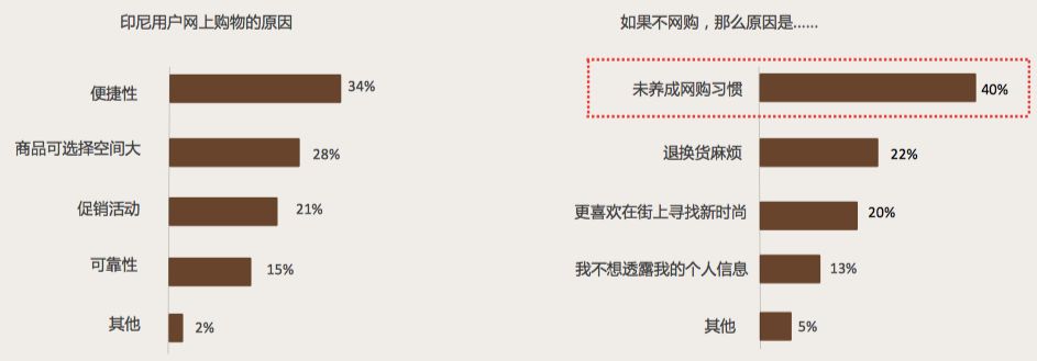 电商野蛮生长下的黑暗面,印尼跨境电商的前景和现状