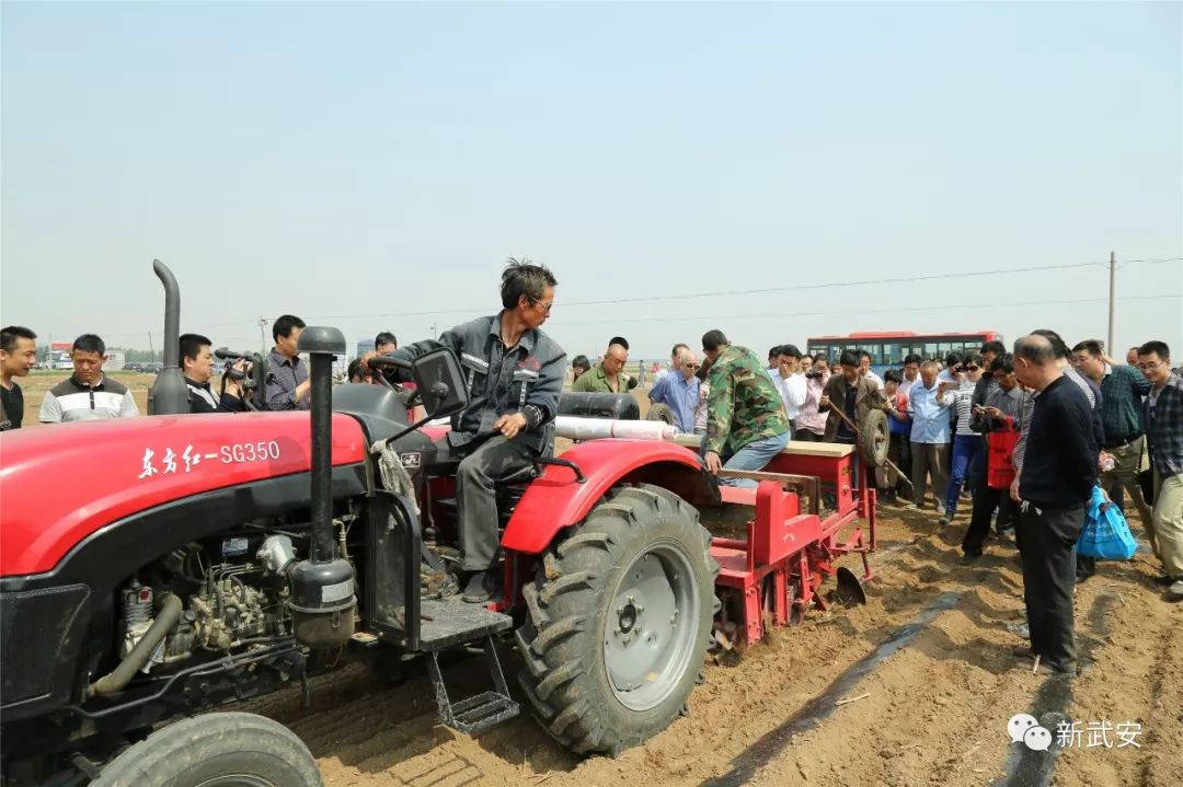 武安谷子,武安种什么农作物好