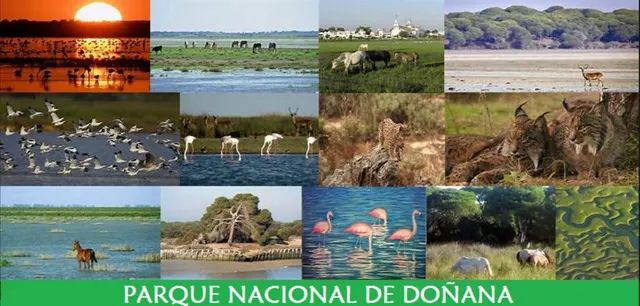 西班牙十大景点,西班牙十大风景名胜