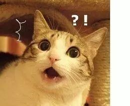 日本眼药水被禁售,遭禁售的日本眼药水