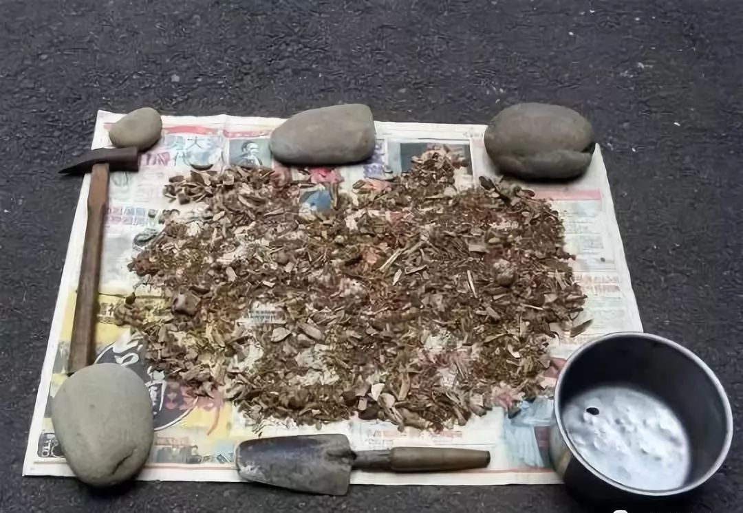 1个洋葱丢盆里，花朵砰砰开，一下能变2个头，省钱了！