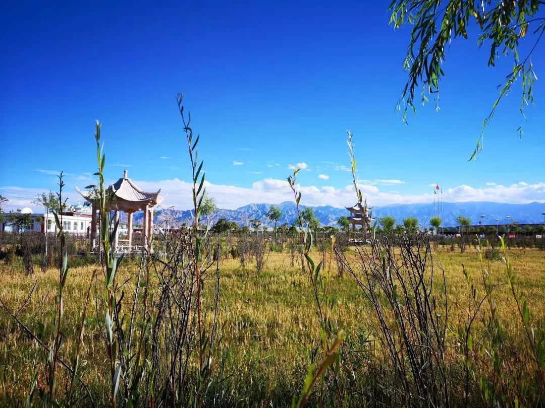 最美乡村有什么特色,有哪些很漂亮的乡村