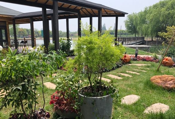 崇明好的民宿树屋,上海崇明农庄民宿