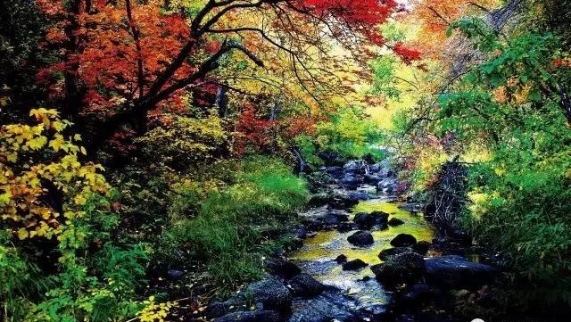 巴林左旗城市全景,巴林左旗市