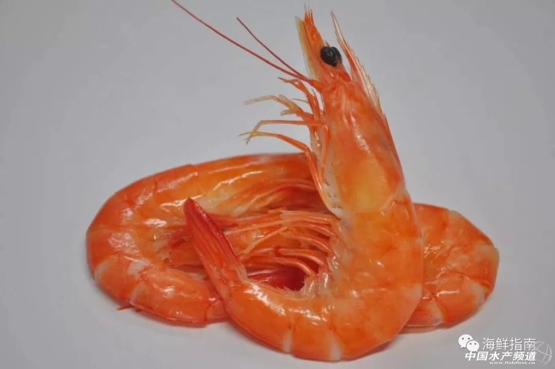 饭店做的白灼虾为啥那么好吃,大排档的白灼虾为什么那么鲜甜