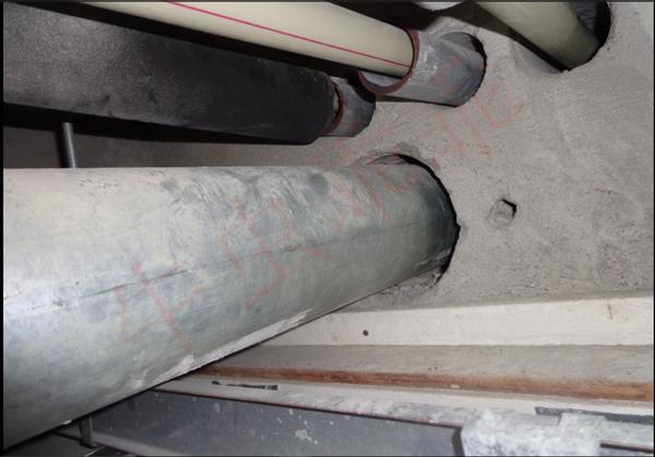 房间里进了老鼠什么办法抓最好,住高层老鼠怎么消灭