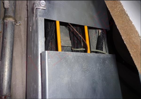 房间里进了老鼠什么办法抓最好,住高层老鼠怎么消灭