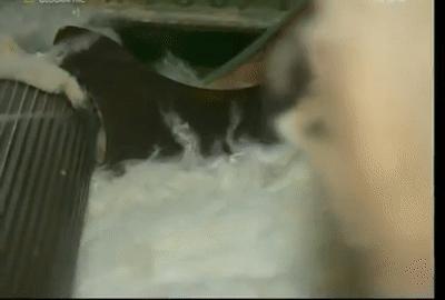 塑料瓶可以制成衣服吗,塑料瓶能做什么衣服卖