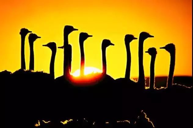 足够艳！啧啧，看“色彩之王”皮特玩转红黄蓝