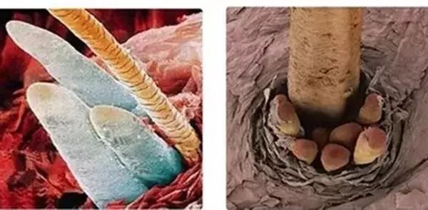 毛孔粗大清洁测评,暗沉粗糙毛孔粗大测评