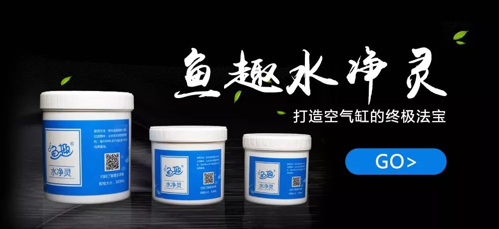 沉木泡了一年了还是掉色,沉木发黑怎么彻底处理