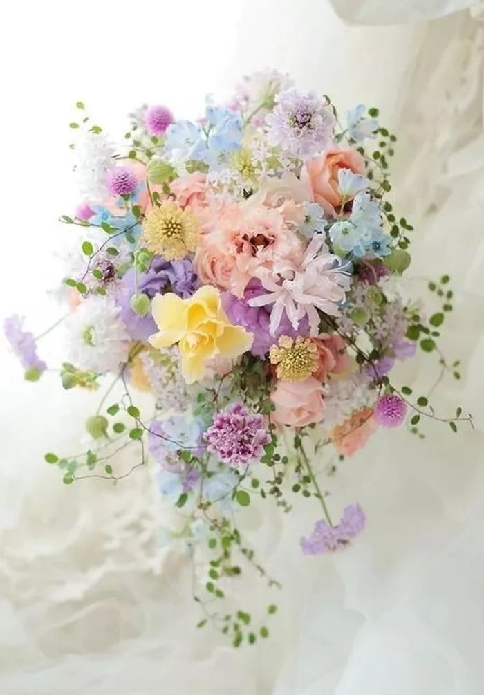 神奇的中文十人有九人读错,神奇的中文10人读9人读错