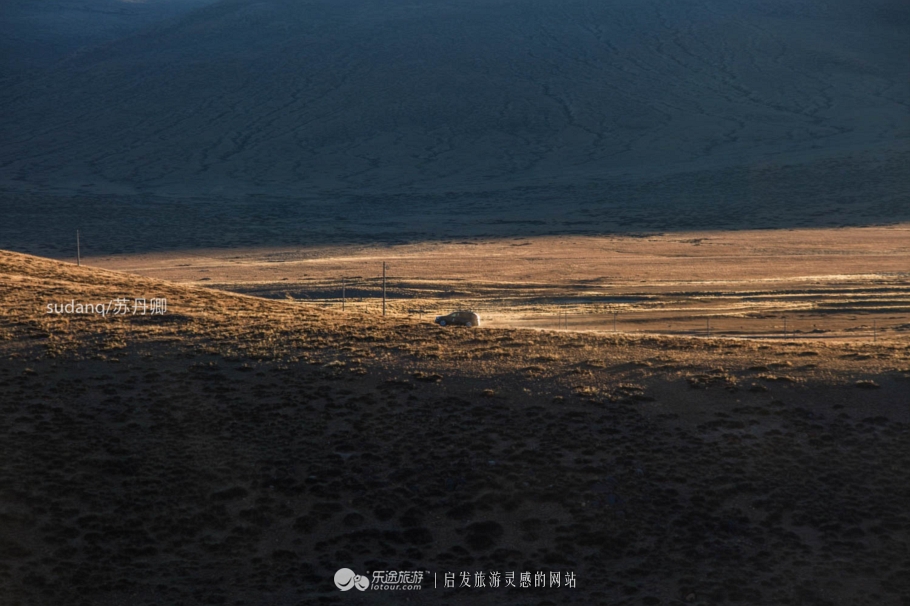 去过阿里才算是真正西藏,为什么一定要去西藏阿里