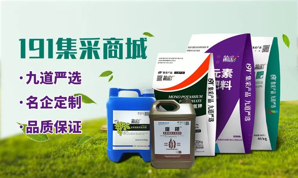 软化果梗用什么药,软化果梗用什么效果最好