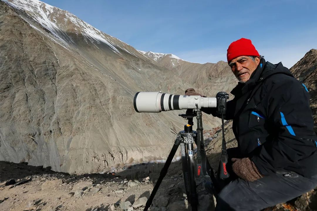 被北极熊追杀，抓拍鲨鱼咬向自己的瞬间……68岁摄影师玩命告诉你：为什么外国人这么少？