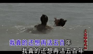 ktv歌单大全完整版,ktv歌单最新