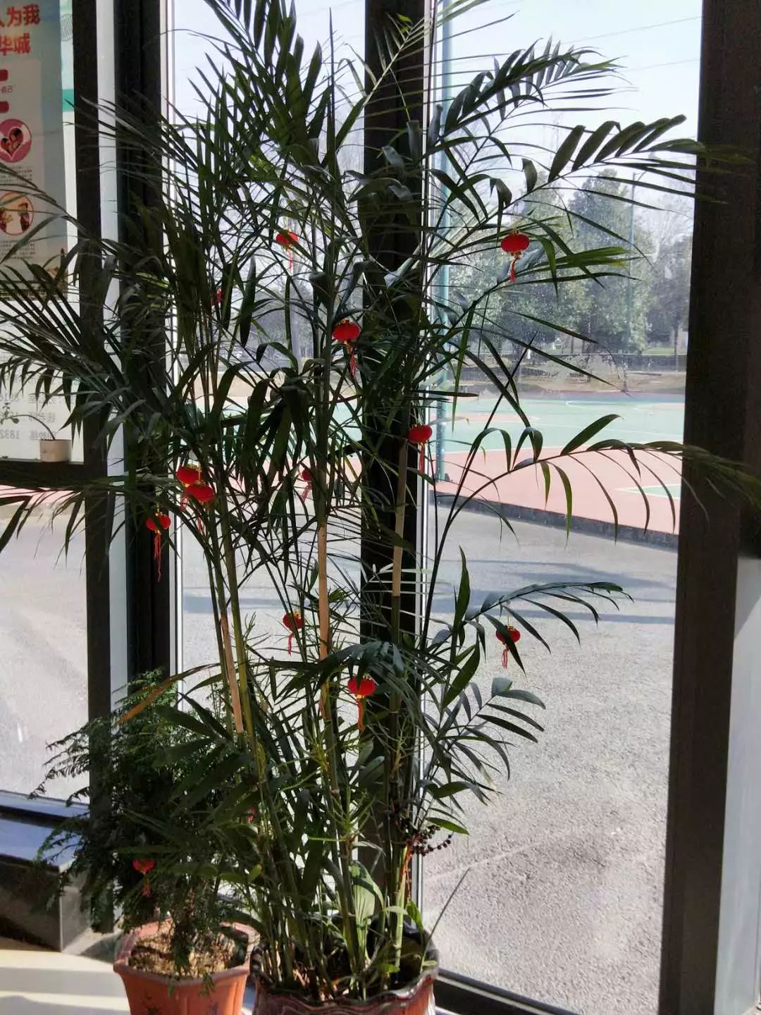 以干净整洁的环境迎接新春佳节,年度工作总结动员部署