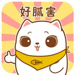 庆阳公示,庆阳市公示