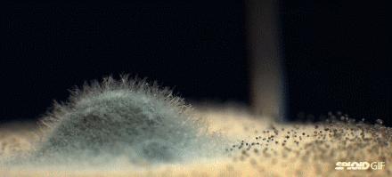 回南天除霉神器,回南天除霉剂