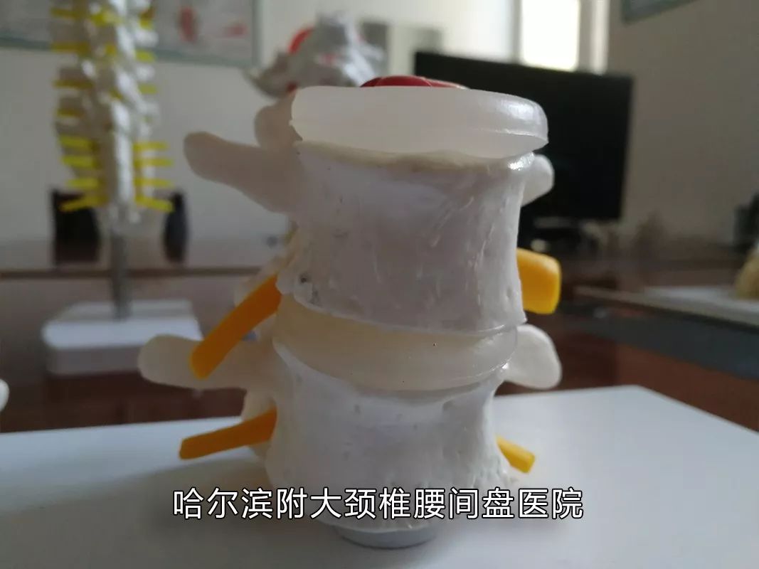 有没有感觉到腰酸腿疼特别棒,你是否觉得腰酸背痛容易累