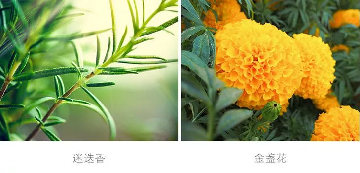 脖子后颈僵硬酸痛怎么缓解,脖子肩膀僵硬酸痛买什么膏药