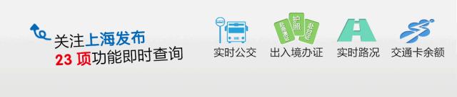 什么样的狗粮比较安全可靠,合格的狗粮标准