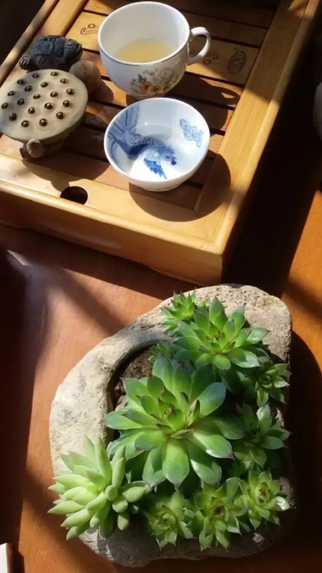 60首经典养生音乐,听歌真的能养生吗