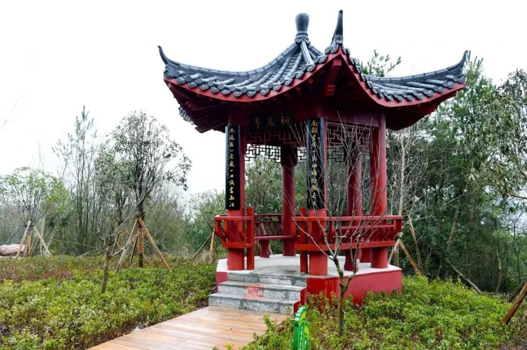 赣州最好玩的公园不要门票,离赣州最近的森林公园还有多远