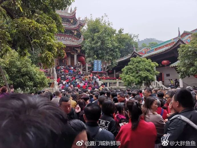 人从众第四个字怎么念,人从众什么意思