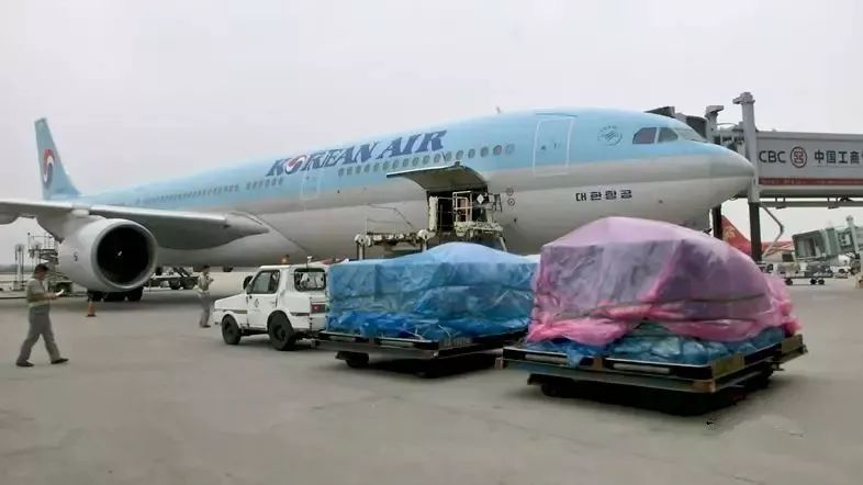 我和祖国共成长湾区,我和祖国共成长国家大剧院