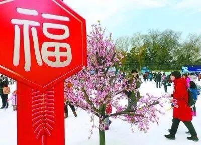 冰雪运动全民雪地撒欢,冰雪运动活力中国