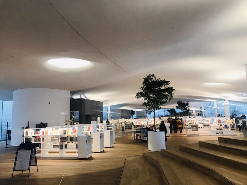 芬兰教育真实现状,中国学习芬兰教育