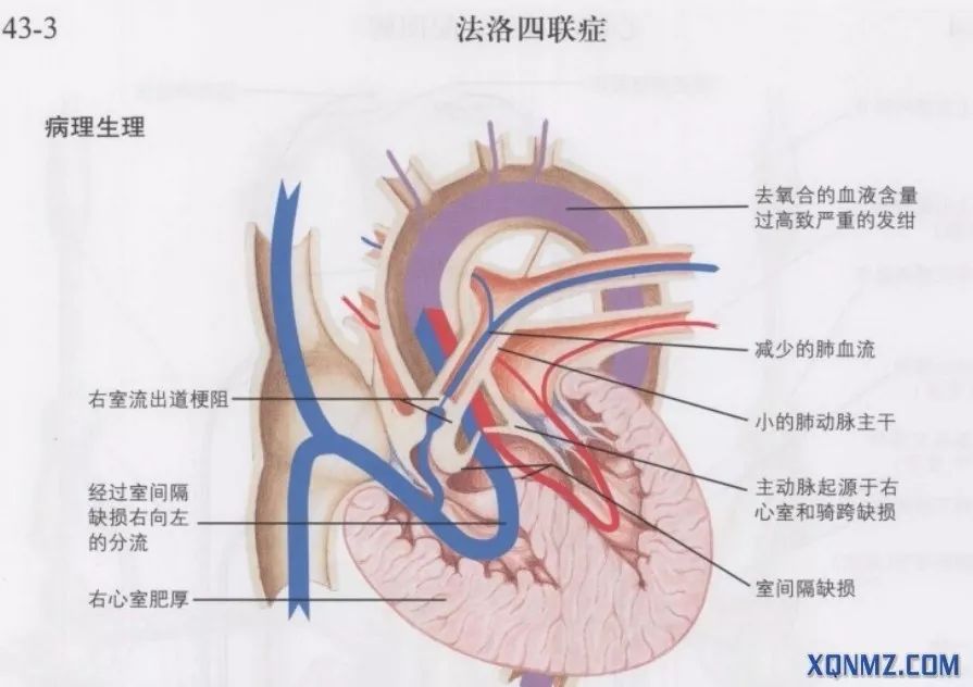职称考试题型,职称考试多项选择题计分规则