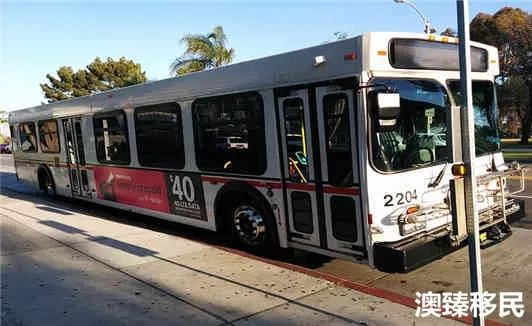 澳洲生活攻略详解,刚到澳洲生活指南